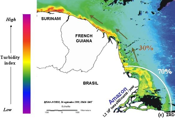 Amazon region of influence