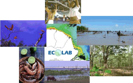 Page Illustrée ECOLAB